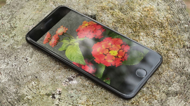 Cách tốt nhất giúp sửa lỗi iPhone 7 Plus bắt wifi yếu 5 iphone 7 plus bat wifi yeu 2 Cách tốt nhất giúp sửa lỗi iPhone 7 Plus bắt wifi yếu