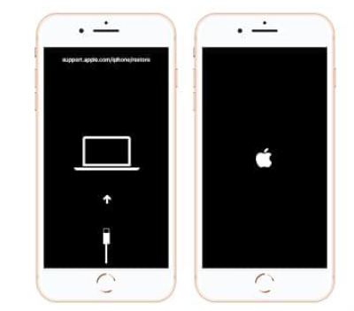 Cần làm gì khi điện thoại iPhone 8 Plus bị lỗi treo táo? 6 Cần làm gì khi iPhone 8 Plus bị treo táo? 19750