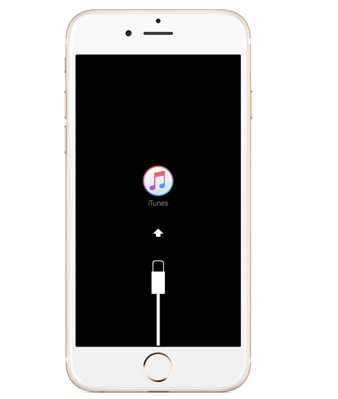 Hướng dẫn cách khắc phục lỗi iPhone 6s Plus bị vô hiệu hóa tại nhà 20 Hướng dẫn cách khắc phục lỗi iPhone 6s Plus bị vô hiệu hóa tại nhà 20275
