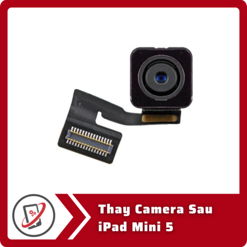 Thay Camera Sau iPad Mini 5