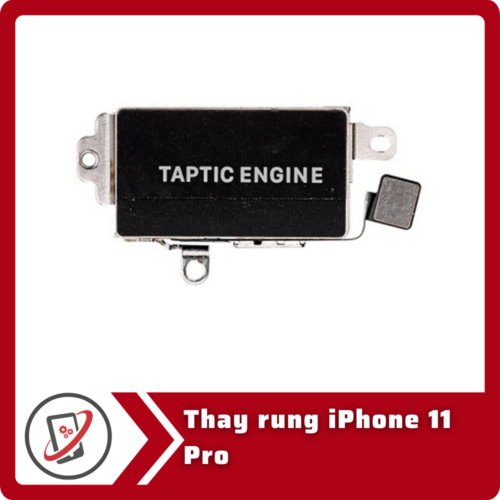 Thay rung iPhone 11 Pro