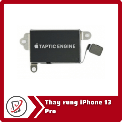 Thay rung iPhone 13 Pro