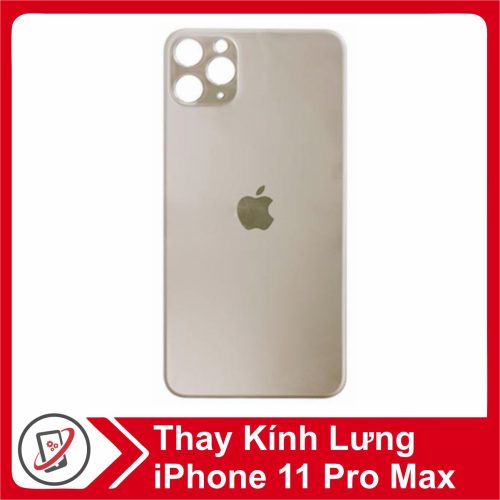Thay kính lưng iPhone 11 Pro Max