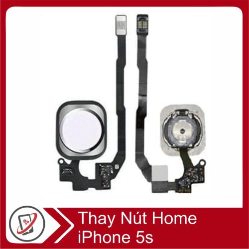 Thay Nút Home iPhone 5s